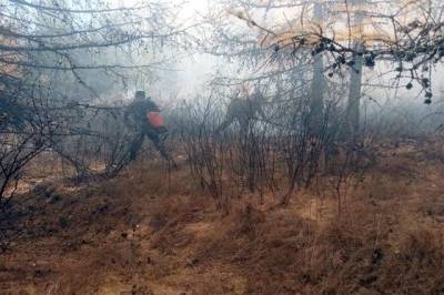 Роман Вильфанд - Пожароопасная обстановка может обостриться в нескольких регионах РФ - aif.ru - Россия - ЦФО - Белгородская обл. - Воронежская обл. - округ Южный - Липецкая обл.