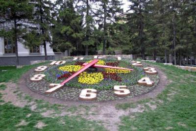 В центре Новосибирска разбирают «Цветочные часы» - novos.mk.ru - Новосибирск