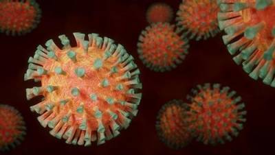 Японские ученые заявили, что коронавирус сохраняется на коже человека до девяти часов - argumenti.ru - Япония