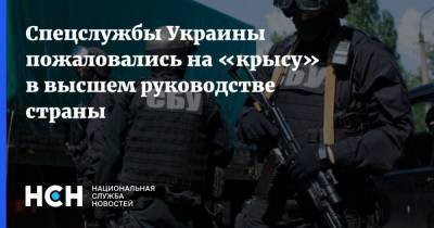 Спецслужбы Украины пожаловались на «крысу» в высшем руководстве страны - nsn.fm - Россия - Украина - Киев - Белоруссия - Венесуэла