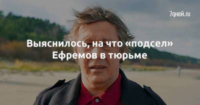 Михаил Ефремов - Иван Мельников - Выяснилось, на что «подсел» Ефремов в тюрьме - skuke.net