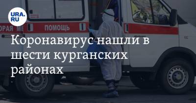 Коронавирус нашли в шести курганских районах - ura.news - Курганская обл. - Курган - Шадринск