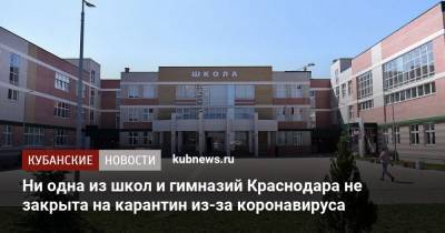 Ни одна из школ и гимназий Краснодара не закрыта на карантин из-за коронавируса - kubnews.ru - Краснодар