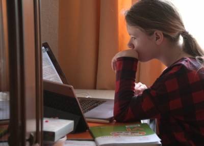Почти 120 классов переведены на удаленку в школах Краснодара из-за вспышек коронавируса - interfax-russia.ru - Краснодар
