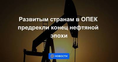 Развитым странам в ОПЕК предрекли конец нефтяной эпохи - smartmoney.one - Россия - Индия