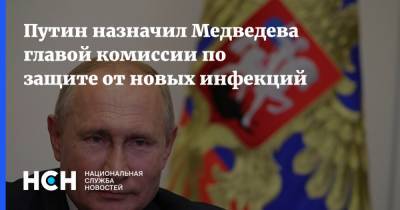 Владимир Путин - Дмитрий Медведев - Путин назначил Медведева главой комиссии по защите от новых инфекций - nsn.fm - Россия