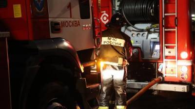 Человек погиб в результате пожара на юге Москвы - iz.ru - Москва - Россия - район Смидовичский