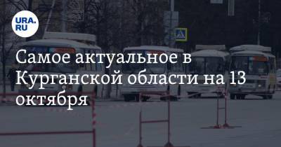 Самое актуальное в Курганской области на 13 октября. Вуз уходит на дистант, Utair меняет время рейсов в Москву - ura.news - Москва - Курганская обл. - Шадринск