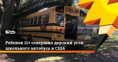 Ребенок 11+ совершил дерзкий угон школьного автобуса вСША - ridus.ru - USA - штат Луизиана