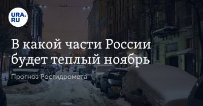 Игорь Шумаков - В какой части России будет теплый ноябрь. Прогноз Росгидромета - ura.news - Россия