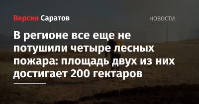 В регионе все еще не потушили четыре лесных пожара: площадь двух из них достигает 200 гектаров - nversia.ru - Саратовская обл. - район Красноармейский - Красноармейск