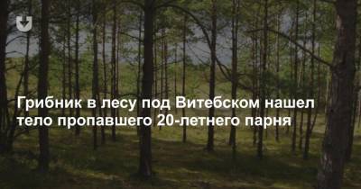 Грибник в лесу под Витебском нашел тело пропавшего 20-летнего парня - news.tut.by - Витебск - район Витебский