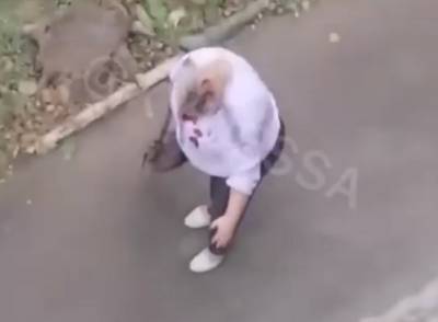 В Одессе совершено нападение на учительницу, видео беспредела: "разбил голову и кричал, что...." - odessa.politeka.net - Одесса - Нападение
