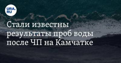 Игорь Шумаков - Стали известны результаты проб воды после ЧП на Камчатке - ura.news - Россия - Петропавловск-Камчатский