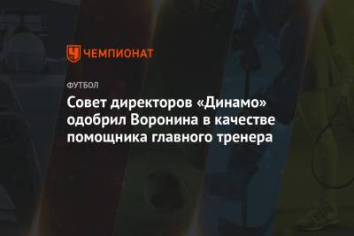 Сергей Степашин - Андрей Воронин - Совет директоров «Динамо» одобрил Воронина в качестве помощника главного тренера - championat.com - Москва