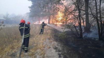 Денис Шмыгаль - Правительство выделит 185 млн грн на помощь пострадавшим во время пожаров на Луганщине - ru.espreso.tv
