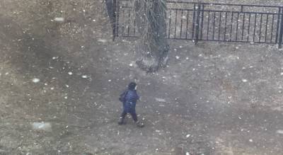 Снег выпадет на этой неделе надолго: синоптики удивили ярославцев - progorod76.ru - Ярославль