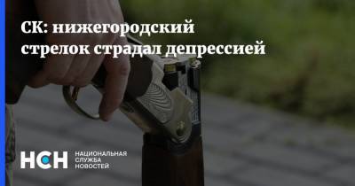 СК: нижегородский стрелок страдал депрессией - nsn.fm - Нижегородская обл. - район Борский - Следственный Комитет