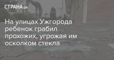 На улицах Ужгорода ребенок грабил прохожих, угрожая им осколком стекла - strana.ua - Киев - Токио - Ужгород - Нападение