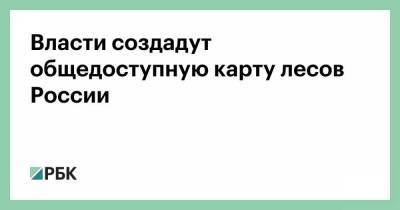 Виктория Абрамченко - Власти создадут общедоступную карту лесов России - smartmoney.one - Россия