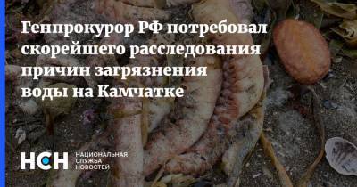 Игорь Краснов - Генпрокурор РФ потребовал скорейшего расследования причин загрязнения воды на Камчатке - nsn.fm - Россия