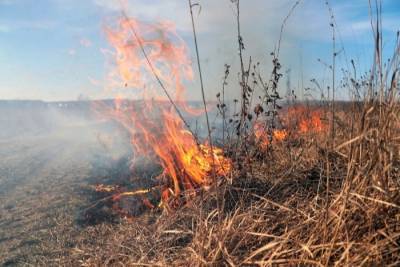 Чрезвычайная пожароопасность объявлена в Кабардино-Балкарии - interfax-russia.ru - респ. Кабардино-Балкария