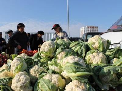 В Уфе пройдут ярмарки, где можно купить овощи от местных фермеров - ufatime.ru - Уфа - район Демский - р-н Советский