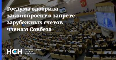 Владимир Путин - Вячеслав Володин - Госдума одобрила законопроект о запрете зарубежных счетов членам Совбеза - nsn.fm - Россия