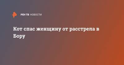 Данил Монахов - Кот спас женщину от расстрела в Бору - ren.tv