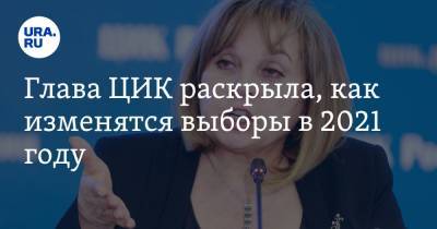 Элла Памфилова - Владимир Андреев - Глава ЦИК раскрыла, как изменятся выборы в 2021 году - ura.news - Россия