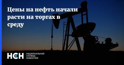 Владимир Путин - Цены на нефть начали расти на торгах в среду - nsn.fm - Россия - Саудовская Аравия