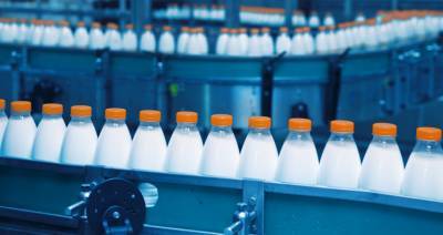 Игорь Брыло - Беларусь рассчитывает к 2025 году увеличить производство молока до 9,2 млн т - produkt.by - Белоруссия