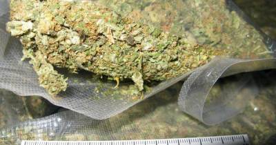 У жителя Гурьевского района нашли больше килограмма марихуаны - klops.ru - Россия - Калининград - район Гурьевский
