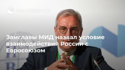 Алексей Навальный - Дмитрий Песков - Сергей Лавров - Жозеп Боррель - Александр Грушко - Замглавы МИД назвал условие взаимодействия России с Евросоюзом - ria.ru - Москва - Россия - Брюссель