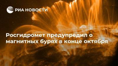 Росгидромет предупредил о магнитных бурях в конце октября - ria.ru - Москва - Россия
