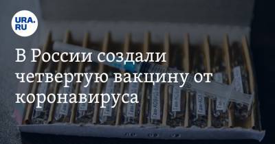 Владимир Оберемок - В России создали четвертую вакцину от коронавируса. Ее можно вдыхать - ura.news - Россия