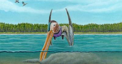 Обнаружен вид птерозавров похожих на гигантских птиц киви - popmech.ru - Марокко