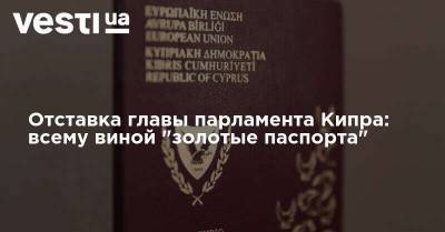 Отставка главы парламента Кипра: всему виной "золотые паспорта" - vesti.ua - Украина - Кипр