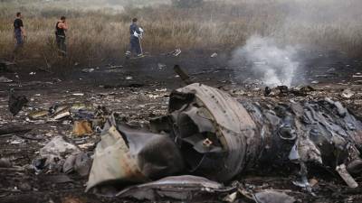 Антон Морозов - В Госдуме заявили о необходимости расширить формат расследования по MH17 - russian.rt.com