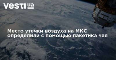 Анатолий Иванишин - Место утечки воздуха на МКС определили с помощью пакетика чая - vesti.ua - Россия