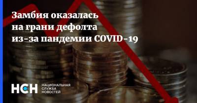 Замбия оказалась на грани дефолта из-за пандемии COVID-19 - nsn.fm - Замбия