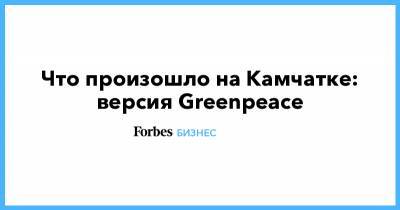 Что произошло на Камчатке: версия Greenpeace - forbes.ru - Москва - Санкт-Петербург