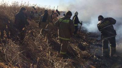 Спустя пять дней в Атырауской области потушили крупный пожар камышовых зарослей - informburo.kz - Атырауская обл.