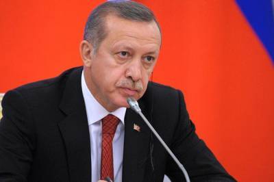 Борис Долгов - «Эрдоган переоценивает свои силы»: кто может осадить Турцию - infox.ru - Турция - Анкара - Азербайджан