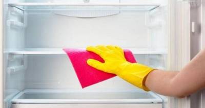 ​Как и чем мыть холодильник - skuke.net
