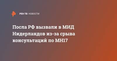 Александр Шульгин - Стеф Блок - Посла РФ вызвали в МИД Нидерландов из-за срыва консультаций по МН17 - ren.tv - Москва - Россия - Австралия - Голландия - Гаага