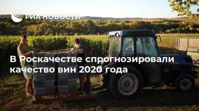 Илья Лоевский - В Роскачестве спрогнозировали качество вин 2020 года - smartmoney.one - Россия