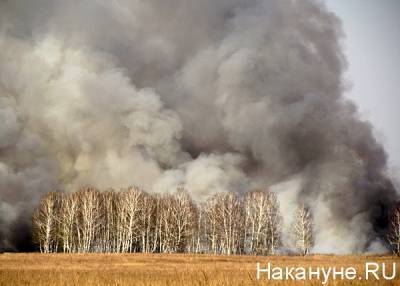 В Миассе ввели особый противопожарный режим из-за лесных пожаров - nakanune.ru