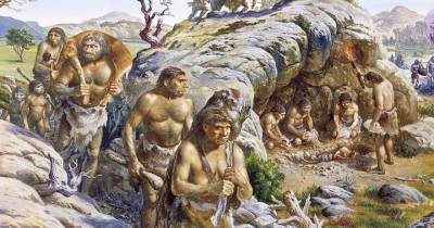 Пять видов Homo вымерли из-за изменений климата - popmech.ru