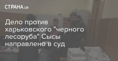 Дело против харьковского "черного лесоруба" Сысы направлено в суд - strana.ua - Украина